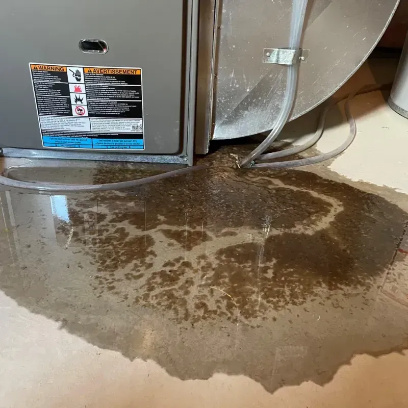 Appliance Leak Cleanup in Fort Pierce, FL